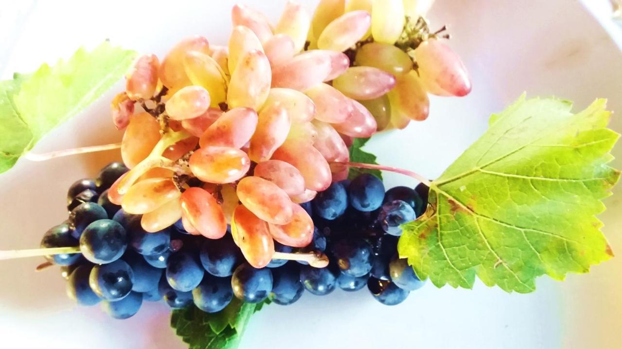 Chaglasian Wine & Suites ซานราฟาเอล ภายนอก รูปภาพ